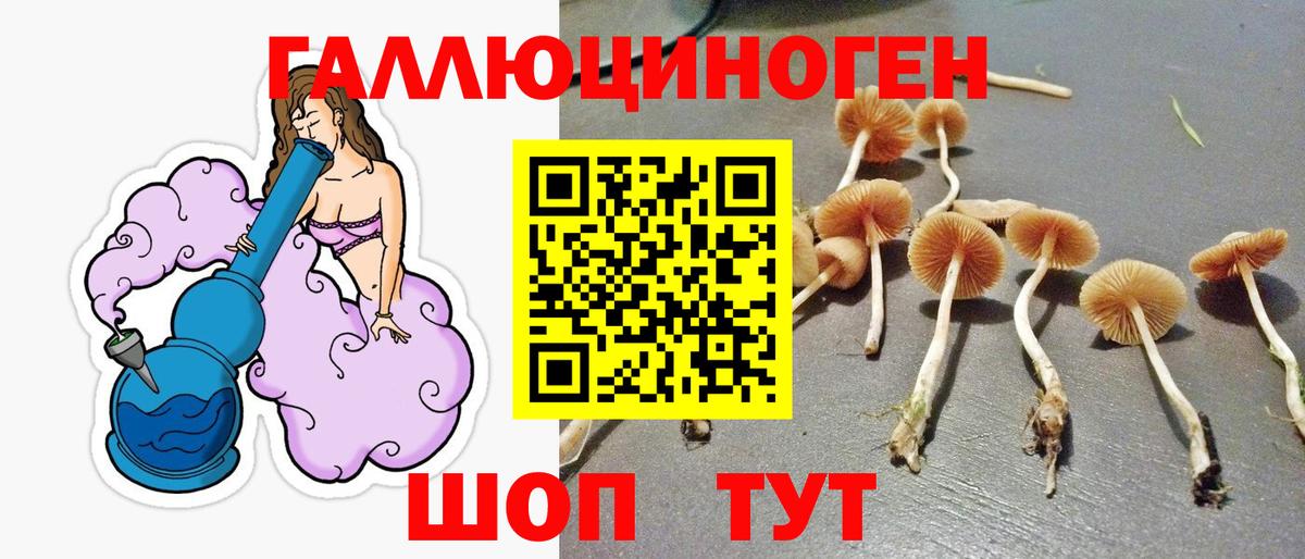 Псилоцибиновые грибы Psilocybe  Вход с VPN  хочу наркоту  Братск 